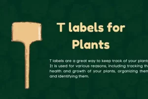 How to Choose The Right T Labels for Plants