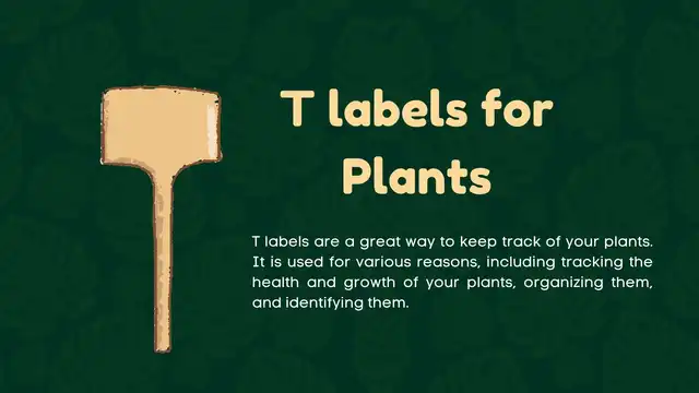 How to Choose The Right T Labels for Plants