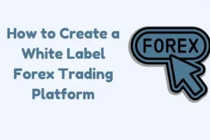 How to Create a White Label Forex Trading Platform