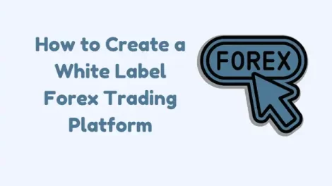 How to Create a White Label Forex Trading Platform