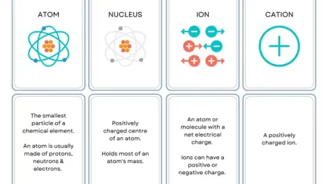What is a Label Atom