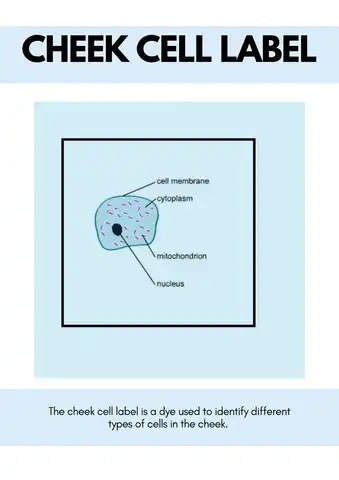 cheek cell label