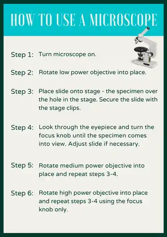 how to use microscope